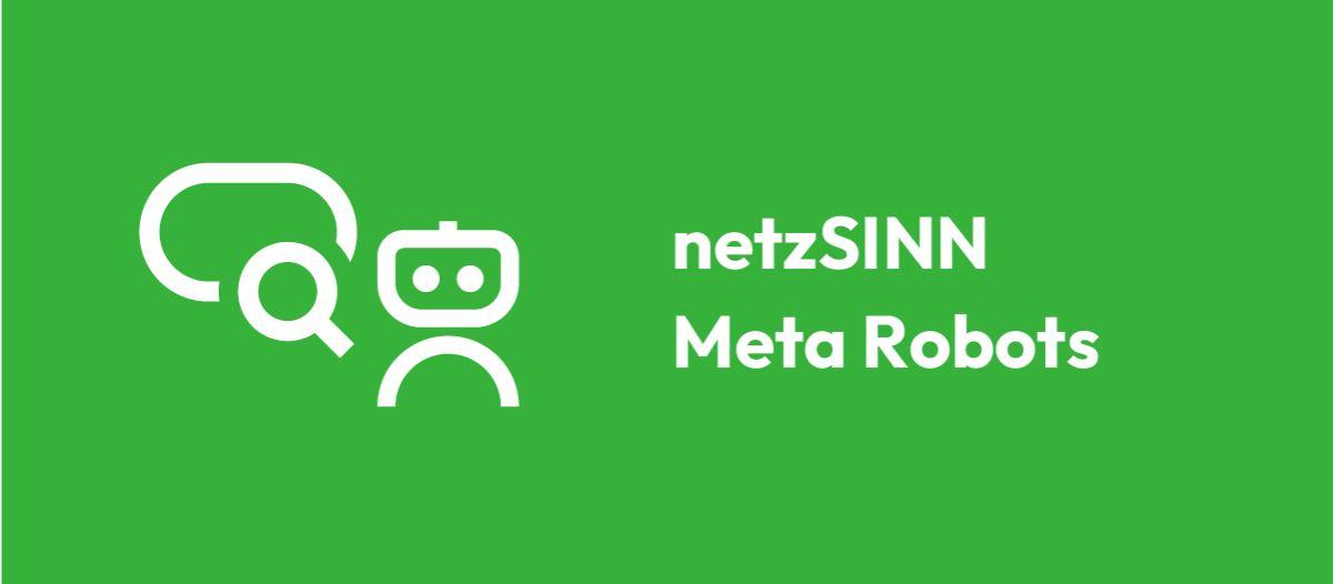 netzSINN Meta Robots